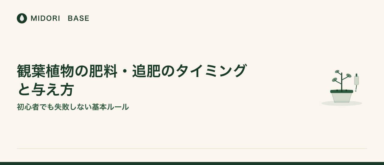 観葉植物の肥料・追肥のタイミングと与え方——初心者でも失敗しない基本ルール