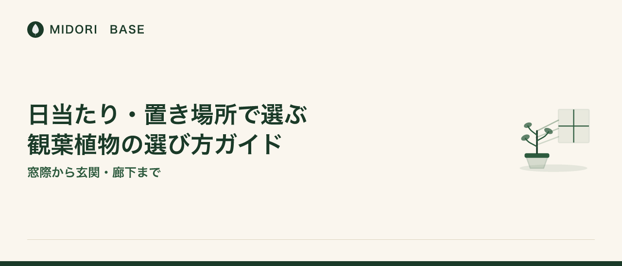 日当たり・置き場所で選ぶ、観葉植物の選び方ガイド