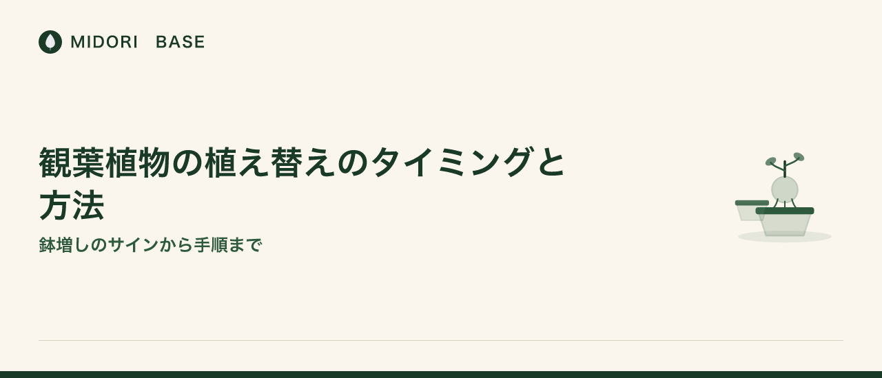 観葉植物の植え替えのタイミングと方法——鉢増しのサインから手順まで